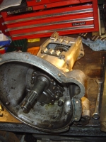 31st January 2009 023